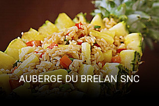 AUBERGE DU BRELAN SNC ouvert