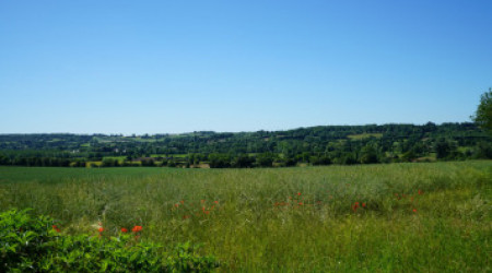 Bistrot des Ecuries