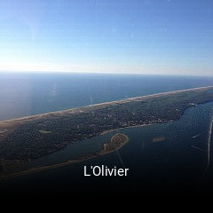 L'Olivier heures d'ouverture