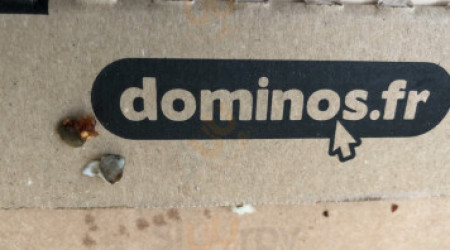 Domino's Pizza Lens