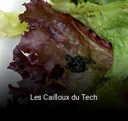 Les Cailloux du Tech ouvert