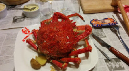 Le Crabe Marteau