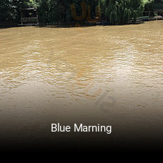 Blue Marning ouvert