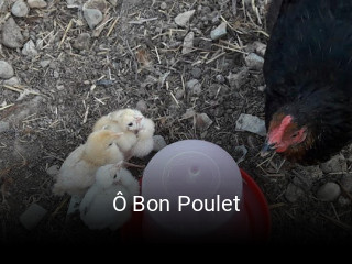 Ô Bon Poulet heures d'ouverture