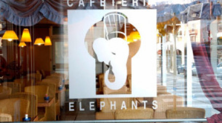 Cafeteria Elephants