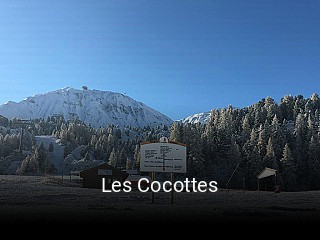 Les Cocottes plan d'ouverture