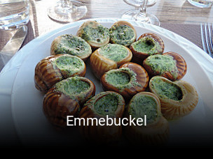 Emmebuckel ouvert