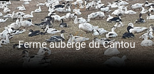 Ferme auberge du Cantou plan d'ouverture