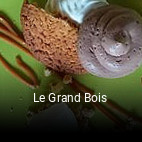 Le Grand Bois ouvert