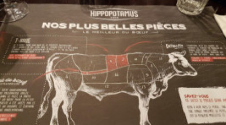 Hippopotamus Bonneuil