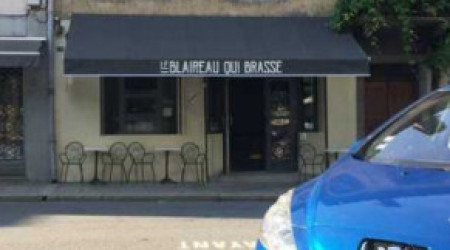 Le Blaireau Qui Brasse