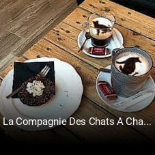 La Compagnie Des Chats A Chats plan d'ouverture