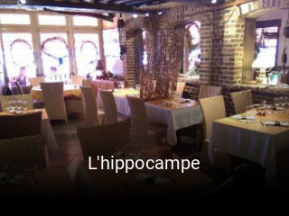 L'hippocampe ouvert