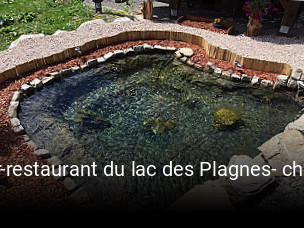 bar-restaurant du lac des Plagnes- chez Remy heures d'affaires