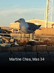 Martine Chea, Mas 34 ouvert