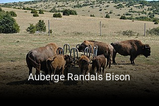 Auberge Randals Bison heures d'affaires