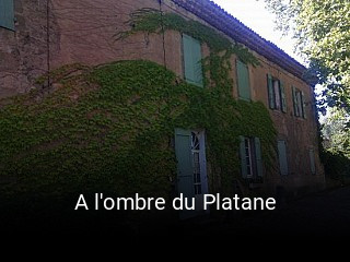 A l'ombre du Platane ouvert