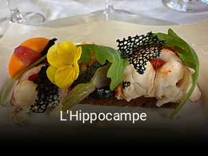 L'Hippocampe plan d'ouverture