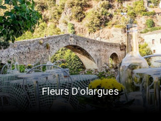 Fleurs D'olargues plan d'ouverture