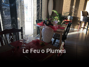 Le Feu o Plumes ouvert