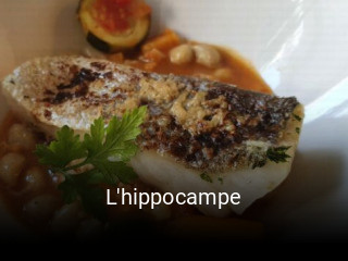 L'hippocampe ouvert