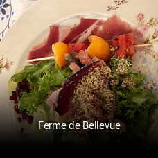 Ferme de Bellevue plan d'ouverture