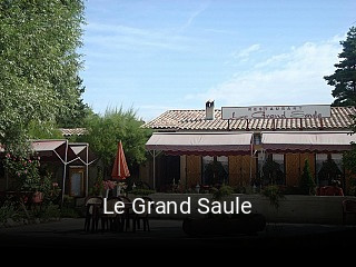 Le Grand Saule ouvert