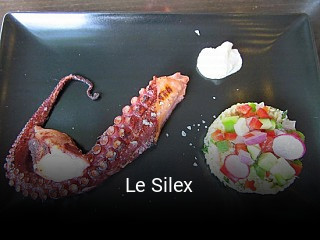 Le Silex plan d'ouverture